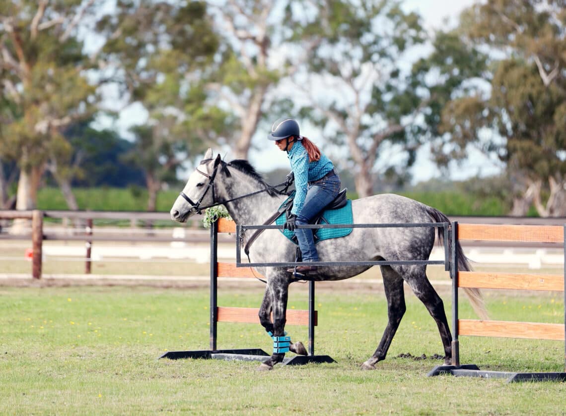 Harvey is an enthusiastic participant in any and every discipline (Images courtesy Alicia Frankenburg).